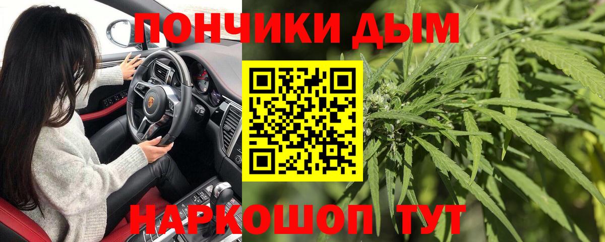 Канабис гибрид Владимир